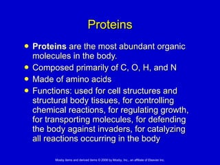 Proteins Proteins  are the most abundant organic molecules in the body.  Composed primarily of C, O, H, and N Made of amino acids Functions: used for cell structures and structural body tissues, for controlling chemical reactions, for regulating growth, for transporting molecules, for defending the body against invaders, for catalyzing all reactions occurring in the body   