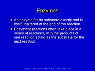 Enzymes An enzyme fits its substrate exactly and is itself unaltered at the end of the reaction. Enzymatic reactions often take place in a series of reactions, with the products of one reaction acting as the substrate for the next reaction. 