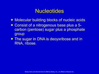 Nucleotides Molecular building blocks of nucleic acids  Consist of a nitrogenous base plus a 5-carbon (pentose) sugar plus a phosphate group  The sugar in DNA is deoyxribose and in RNA, ribose. 