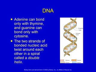 DNA Adenine can bond only with thymine, and guanine can bond only with cytosine.  The two strands of bonded nucleic acid twist around each other in a spiral called a  double helix . 