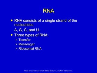 RNA RNA consists of a single strand of the nucleotides  A, G, C, and U.  Three types of RNA:  Transfer Messenger Ribosomal RNA  