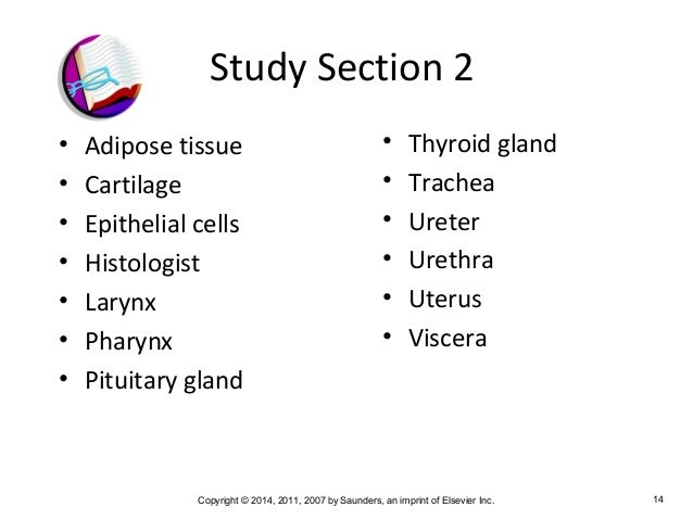 Medical Terminology Chapter 2