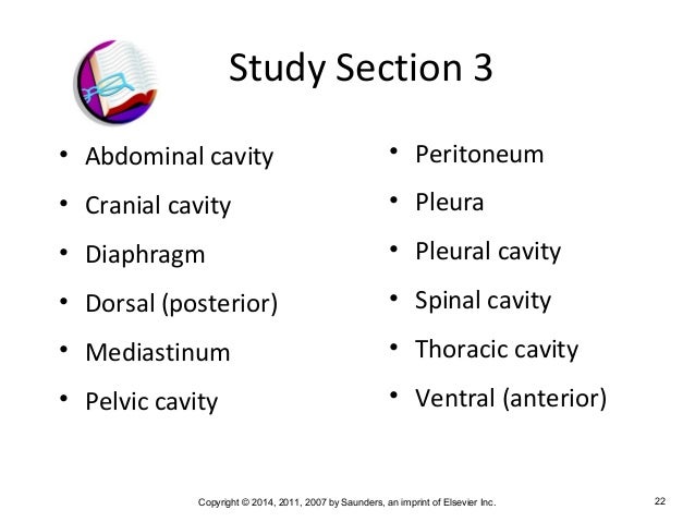 Medical Terminology Chapter 2