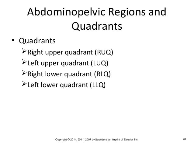 Medical Terminology Chapter 2