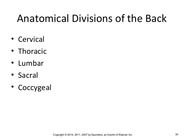 Medical Terminology Chapter 2