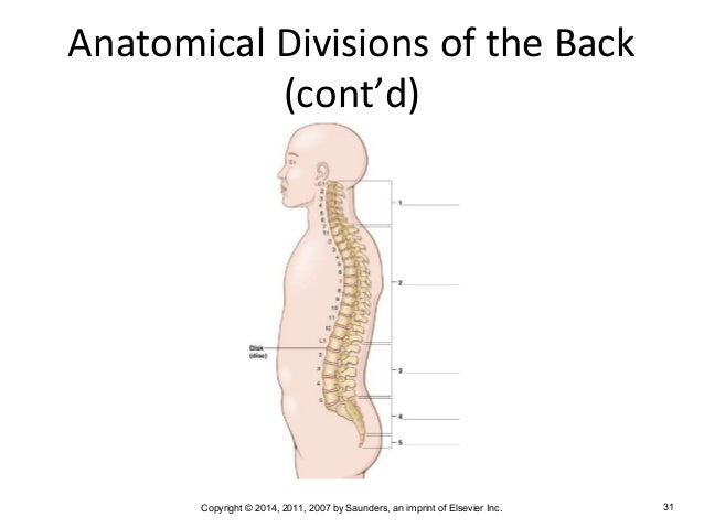 Medical Terminology Chapter 2