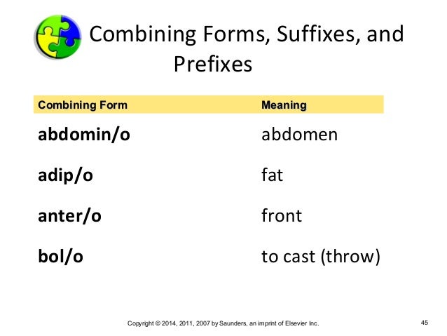 combining form adip o medical terminology chapter 2 combining form adip o medical terminology chapter 2