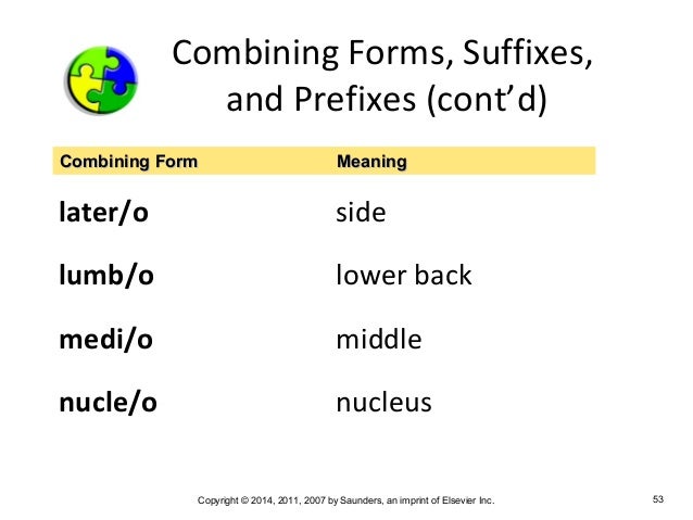 Medical Terminology Chapter 2