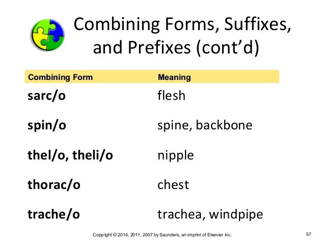 medical terminology chapter 2 flesh combining form