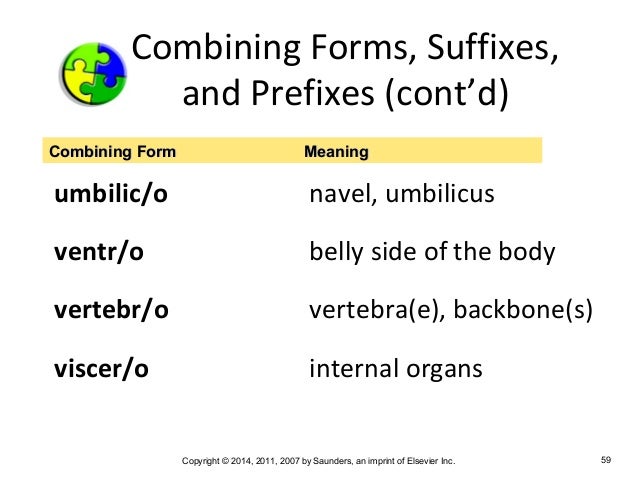 medical terminology chapter 2 combining form meaning nucleus