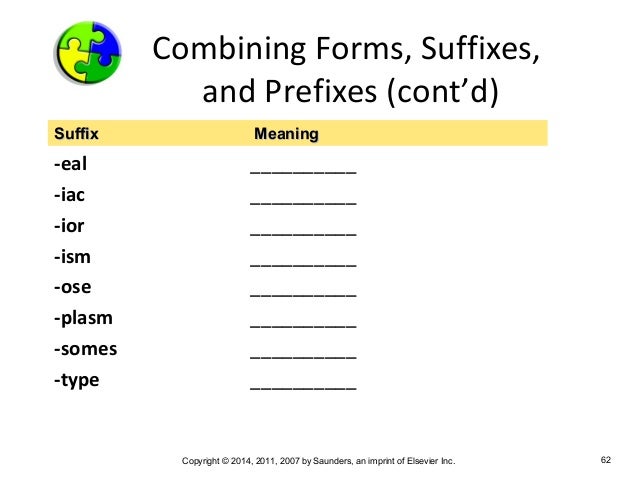 Medical Terminology Chapter 2