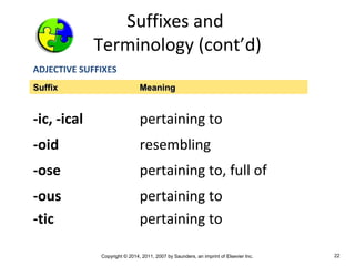 Medical Terminology Chapter 3 | PPT