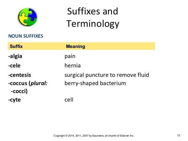 Medical Terminology Chapter 3