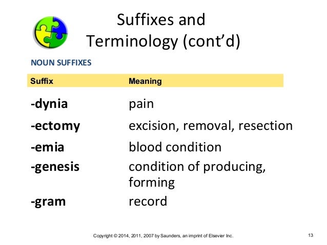 Medical Terminology Chapter 3