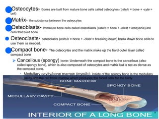 skeletal system and medical terminology. | PPTX