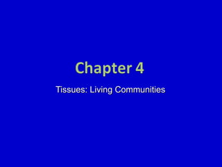 Tissues: Living Communities 