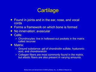 Chondronectin 4. Tissues: Living Communities | PPT