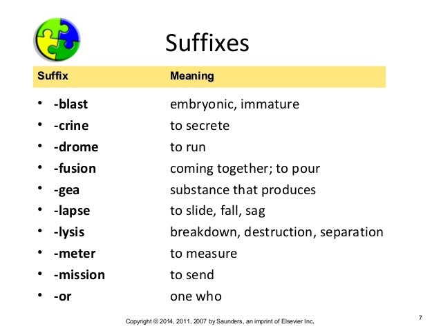 Medical Terminology Chapter 4