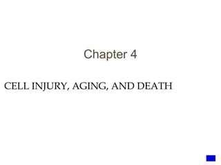 CELL INJURY, AGING, AND DEATH
Chapter 4
1
 