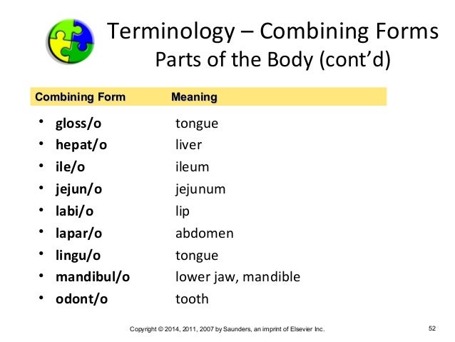 medical terminology chapter 5 combining form meaning liver