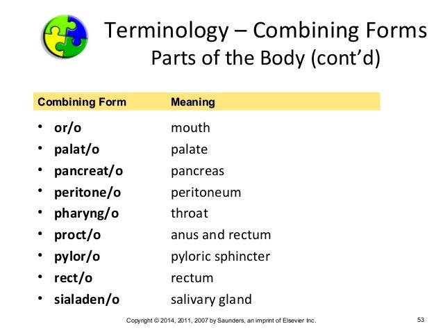 medical terminology chapter 5 combining form meaning rectum