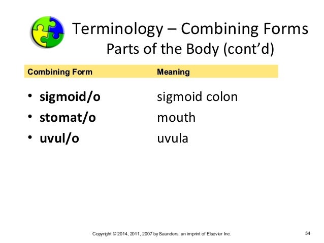 Medical Terminology Chapter 5