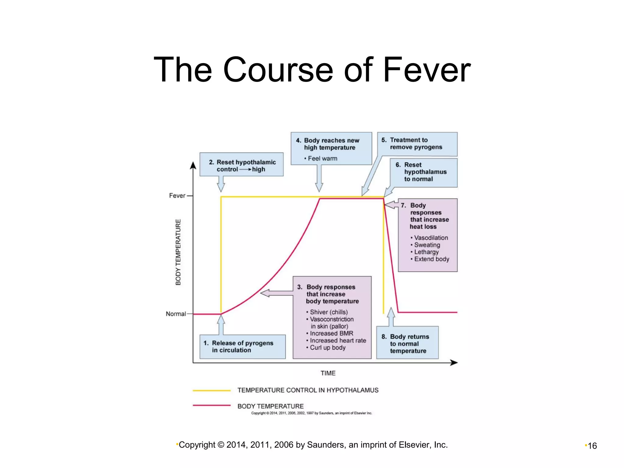 The Course of Fever 
•Copyright © 2014, 2011, 2006 by Saunders, an imprint of Elsevier, Inc. •16 
 