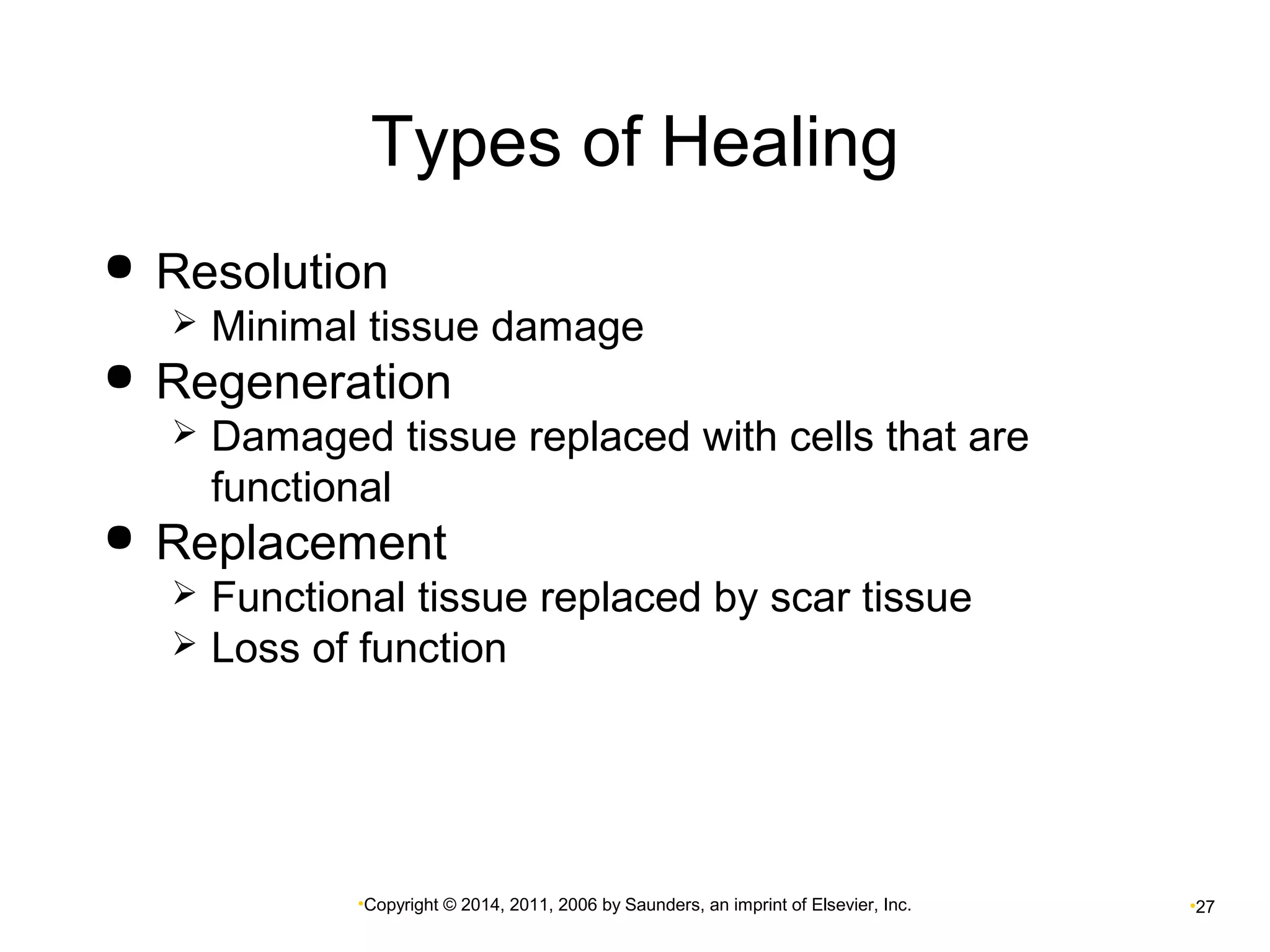 Types of Healing 
 Resolution 
 Minimal tissue damage 
 Regeneration 
 Damaged tissue replaced with cells that are 
functional 
 Replacement 
 Functional tissue replaced by scar tissue 
 Loss of function 
•Copyright © 2014, 2011, 2006 by Saunders, an imprint of Elsevier, Inc. •27 
 