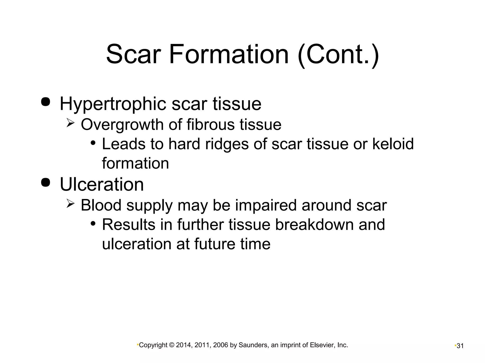 Scar Formation (Cont.) 
 Hypertrophic scar tissue 
 Overgrowth of fibrous tissue 
• Leads to hard ridges of scar tissue or keloid 
formation 
 Ulceration 
 Blood supply may be impaired around scar 
• Results in further tissue breakdown and 
ulceration at future time 
•Copyright © 2014, 2011, 2006 by Saunders, an imprint of Elsevier, Inc. •31 
 