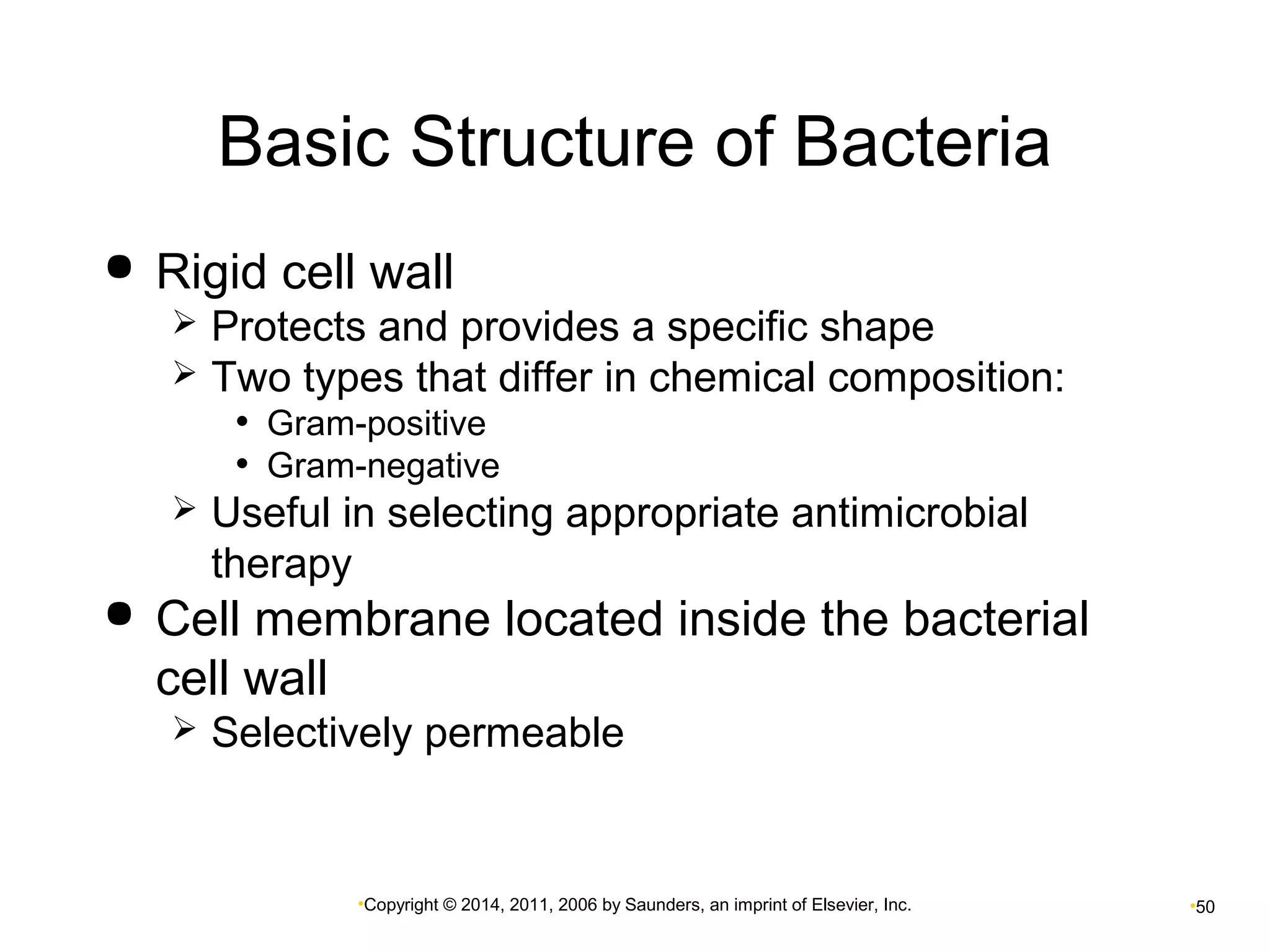 Basic Structure of Bacteria 
 Rigid cell wall 
 Protects and provides a specific shape 
 Two types that differ in chemical composition: 
• Gram-positive 
• Gram-negative 
 Useful in selecting appropriate antimicrobial 
therapy 
 Cell membrane located inside the bacterial 
cell wall 
 Selectively permeable 
•Copyright © 2014, 2011, 2006 by Saunders, an imprint of Elsevier, Inc. •50 
 