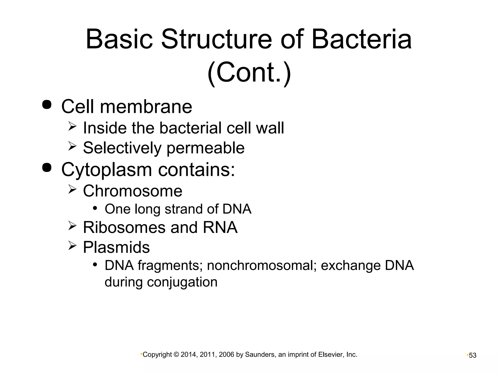 Basic Structure of Bacteria 
(Cont.) 
 Cell membrane 
 Inside the bacterial cell wall 
 Selectively permeable 
 Cytoplasm contains: 
 Chromosome 
• One long strand of DNA 
 Ribosomes and RNA 
 Plasmids 
• DNA fragments; nonchromosomal; exchange DNA 
during conjugation 
•Copyright © 2014, 2011, 2006 by Saunders, an imprint of Elsevier, Inc. •53 
 
