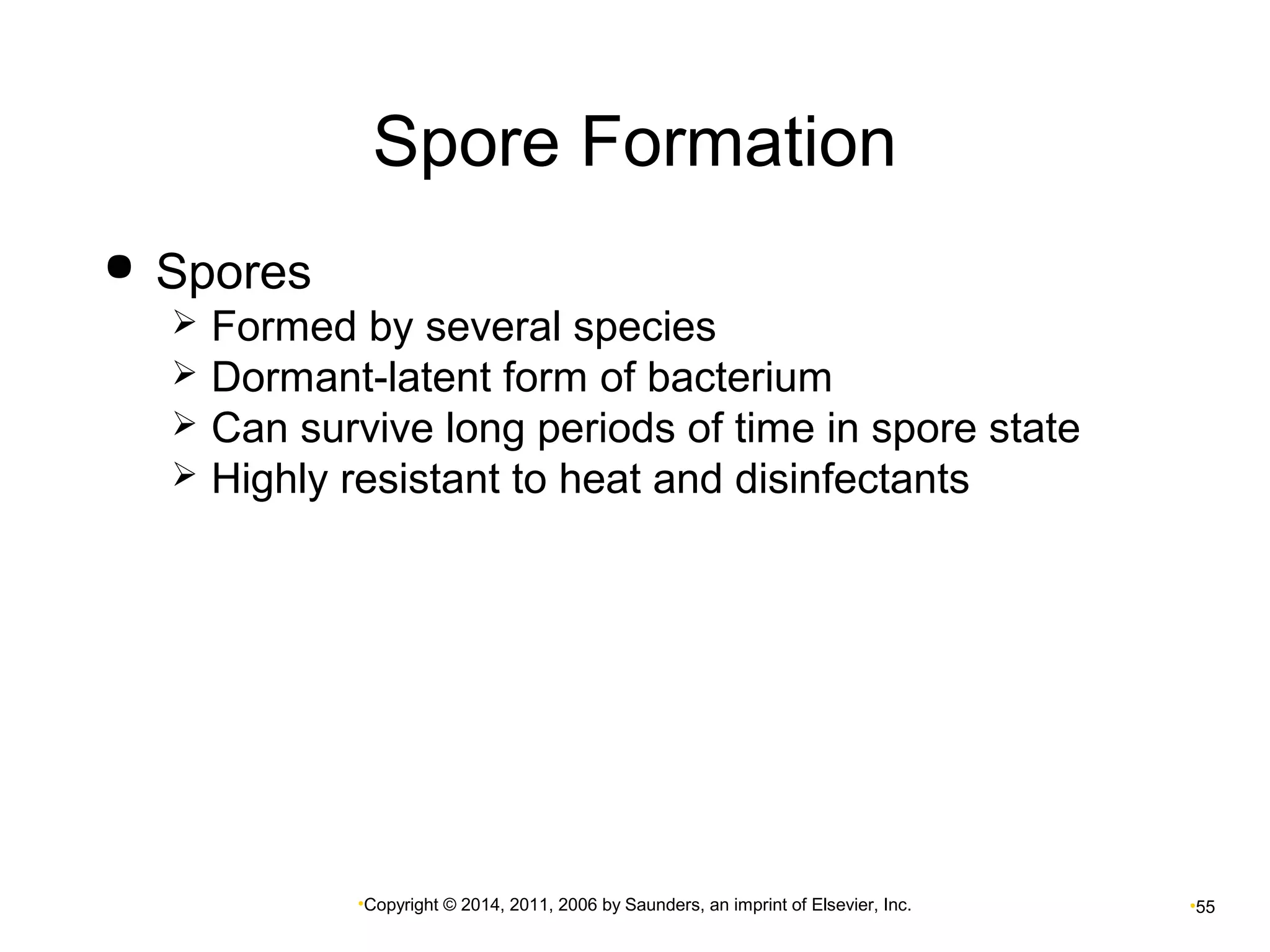 Spore Formation 
•Copyright © 2014, 2011, 2006 by Saunders, an imprint of Elsevier, Inc. •55 
 Spores 
 Formed by several species 
 Dormant-latent form of bacterium 
 Can survive long periods of time in spore state 
 Highly resistant to heat and disinfectants 
 