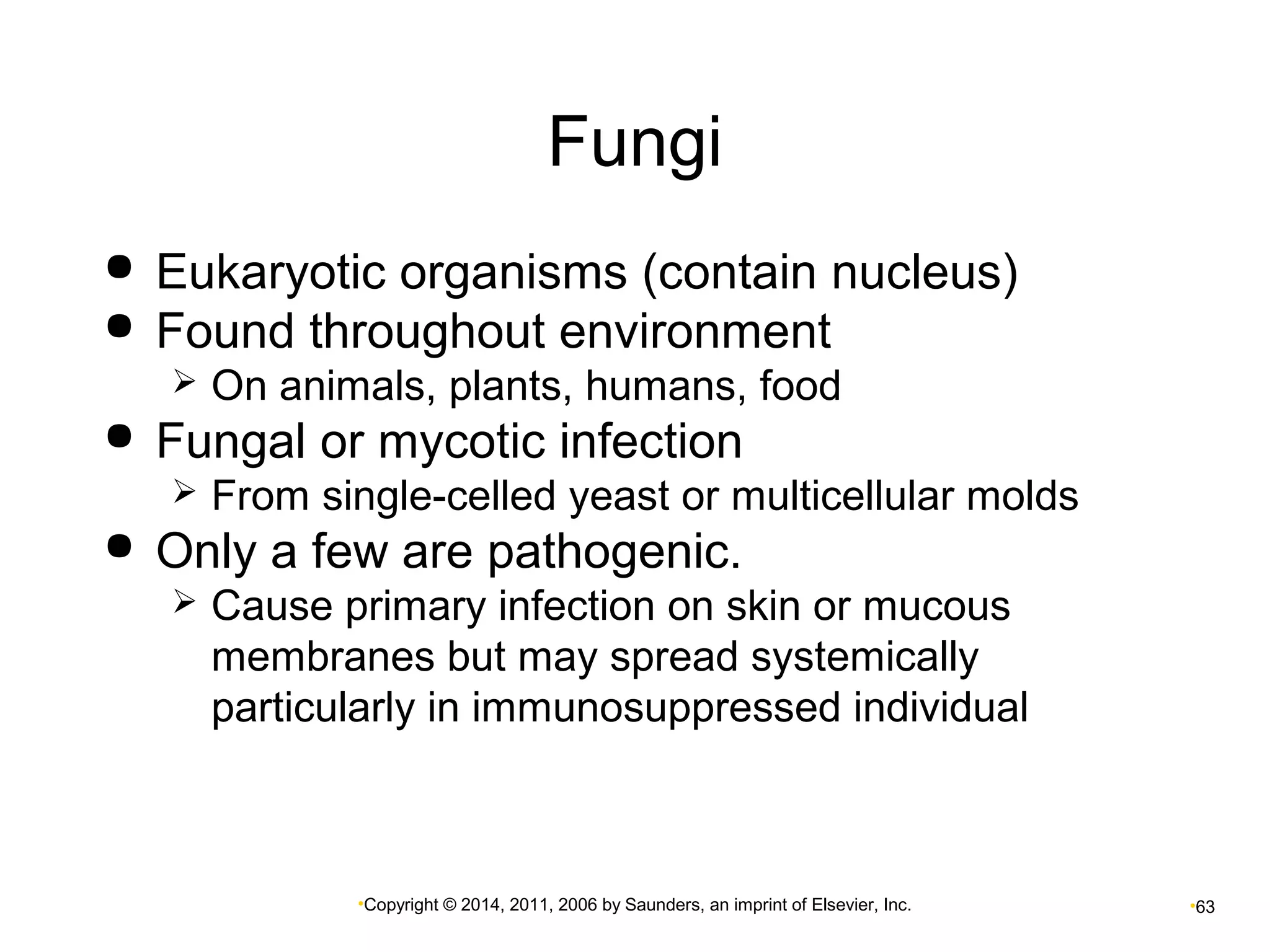 Fungi 
 Eukaryotic organisms (contain nucleus) 
 Found throughout environment 
 On animals, plants, humans, food 
 Fungal or mycotic infection 
 From single-celled yeast or multicellular molds 
 Only a few are pathogenic. 
 Cause primary infection on skin or mucous 
membranes but may spread systemically 
particularly in immunosuppressed individual 
•Copyright © 2014, 2011, 2006 by Saunders, an imprint of Elsevier, Inc. •63 
 