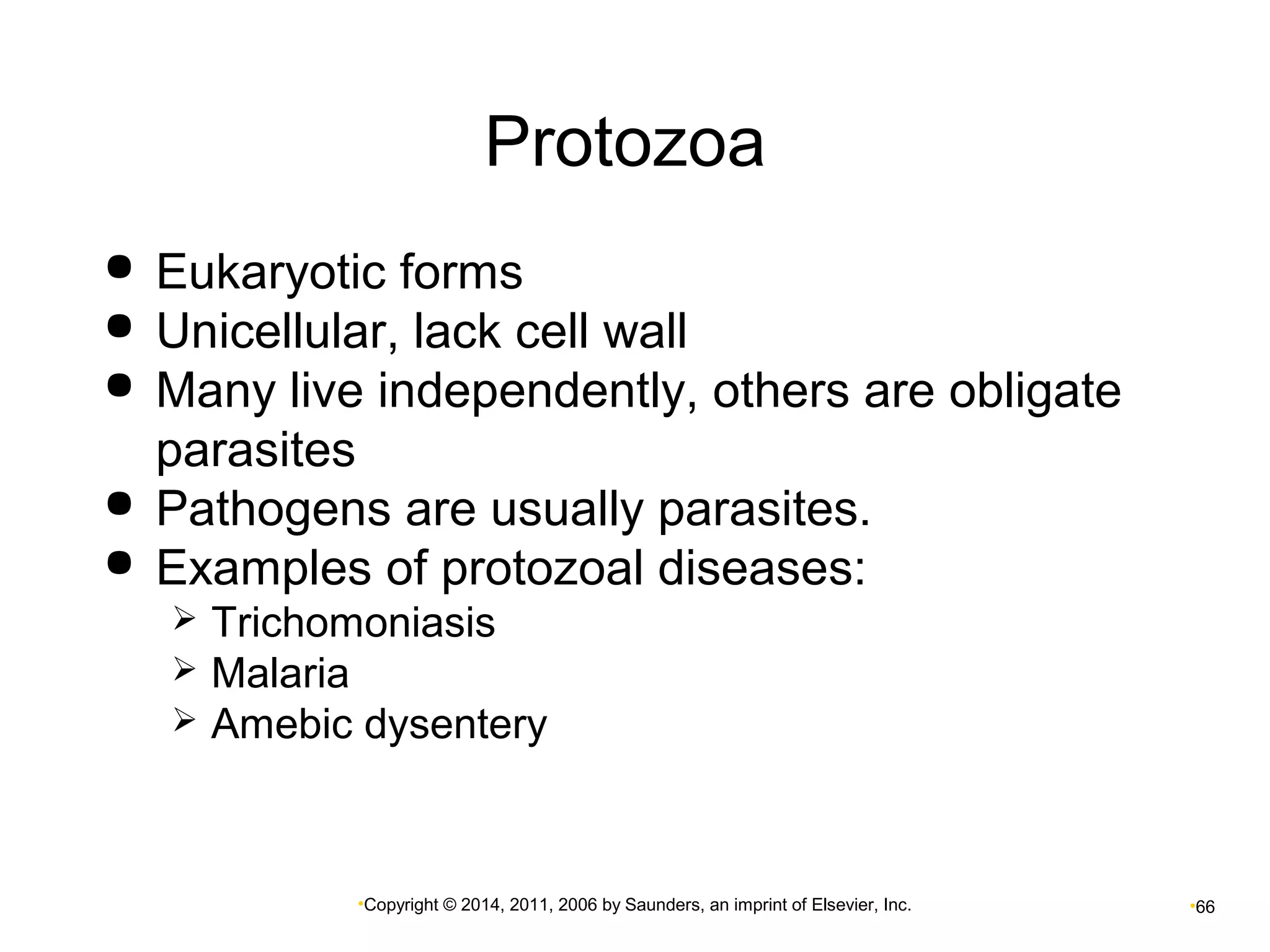 Protozoa 
 Eukaryotic forms 
 Unicellular, lack cell wall 
 Many live independently, others are obligate 
parasites 
 Pathogens are usually parasites. 
 Examples of protozoal diseases: 
 Trichomoniasis 
 Malaria 
 Amebic dysentery 
•Copyright © 2014, 2011, 2006 by Saunders, an imprint of Elsevier, Inc. •66 
 