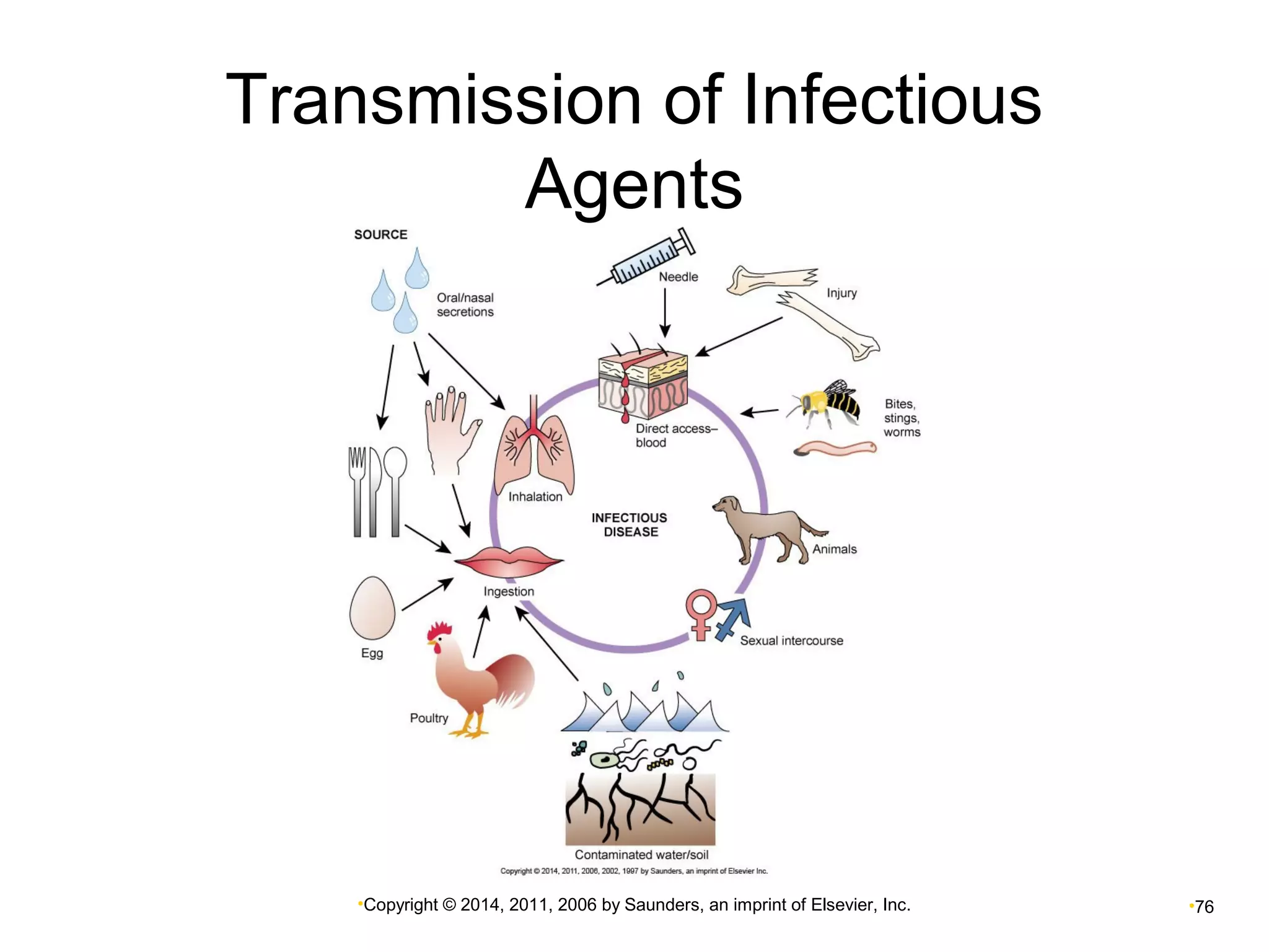 Transmission of Infectious 
Agents 
•Copyright © 2014, 2011, 2006 by Saunders, an imprint of Elsevier, Inc. •76 
 
