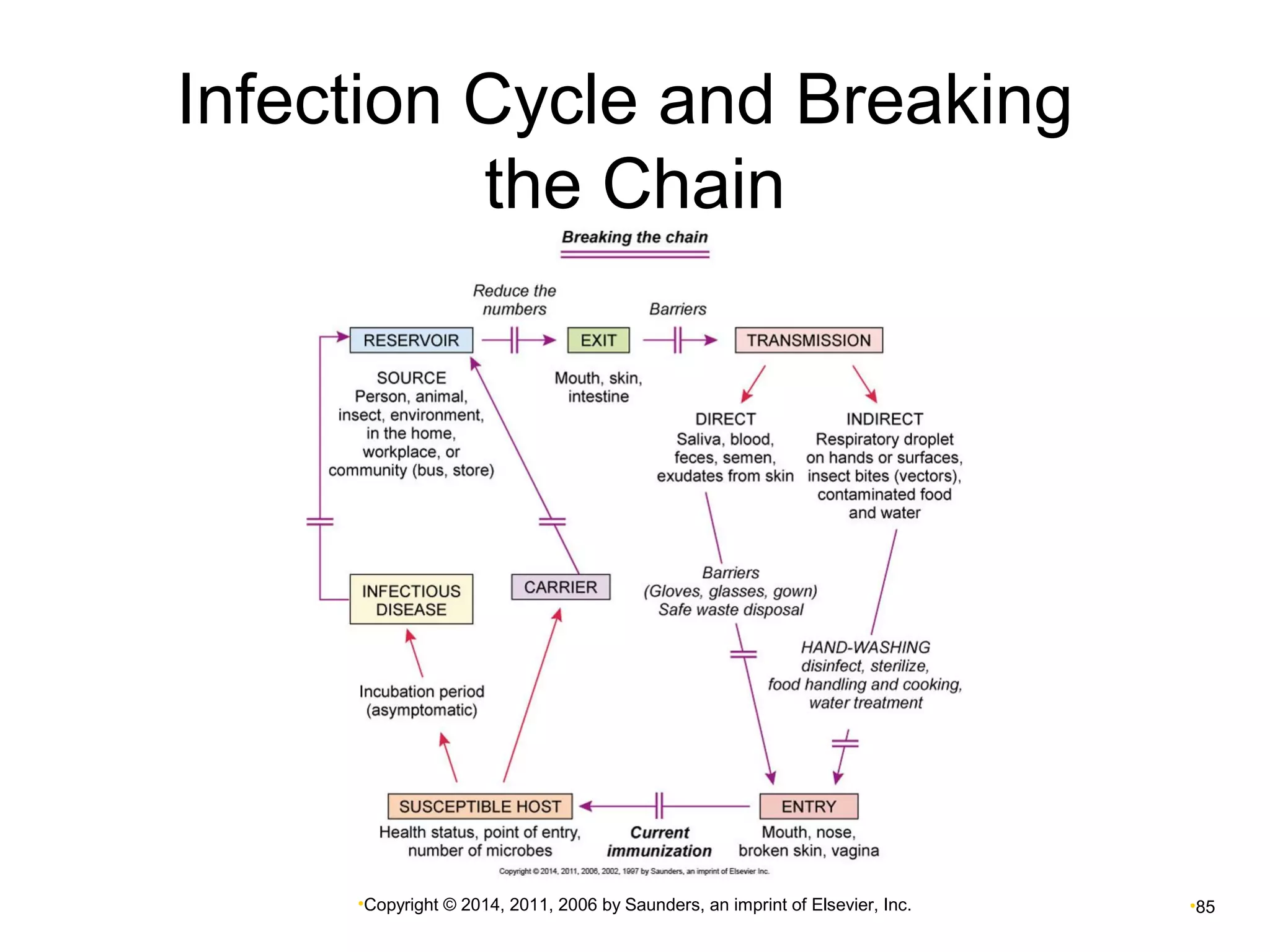 Infection Cycle and Breaking 
the Chain 
•Copyright © 2014, 2011, 2006 by Saunders, an imprint of Elsevier, Inc. •85 
 