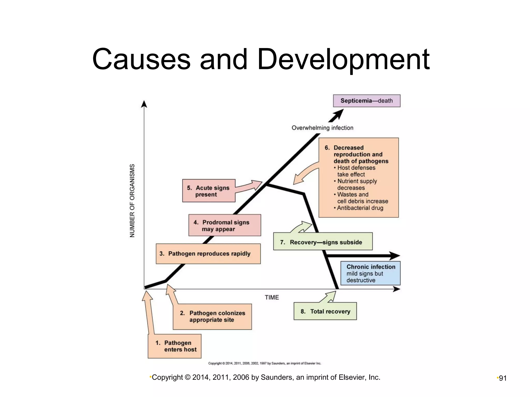 Causes and Development 
•Copyright © 2014, 2011, 2006 by Saunders, an imprint of Elsevier, Inc. •91 
 