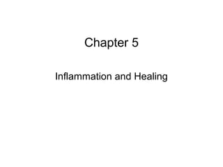 Chapter 5 
Inflammation and Healing 
 