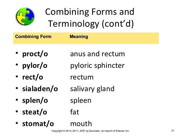 medical terminology chapter 6 combining form meaning rectum