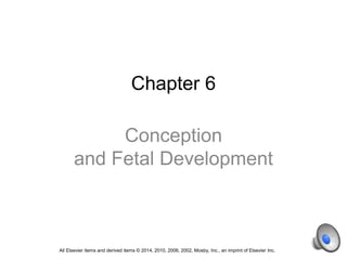 Chapter 6
Conception
and Fetal Development
All Elsevier items and derived items © 2014, 2010, 2006, 2002, Mosby, Inc., an imprint of Elsevier Inc.
 