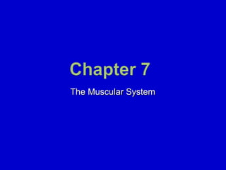 The Muscular System




Mosby items and derived items © 2008 by Mosby, Inc., an affiliate of Elsevier Inc.
 