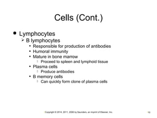 Cells (Cont.) 
 Lymphocytes 
 B lymphocytes 
• Responsible for production of antibodies 
• Humoral immunity 
• Mature in bone marrow 
 Proceed to spleen and lymphoid tissue 
• Plasma cells 
 Produce antibodies 
• B memory cells 
 Can quickly form clone of plasma cells 
•Copyright © 2014, 2011, 2006 by Saunders, an imprint of Elsevier, Inc. •10 
 