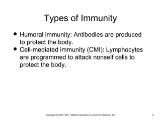 Types of Immunity 
 Humoral immunity: Antibodies are produced 
to protect the body. 
 Cell-mediated immunity (CMI): Lymphocytes 
are programmed to attack nonself cells to 
protect the body. 
•Copyright © 2014, 2011, 2006 by Saunders, an imprint of Elsevier, Inc. •11 
 