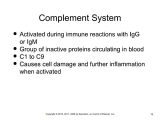 Complement System 
 Activated during immune reactions with IgG 
or IgM 
 Group of inactive proteins circulating in blood 
 C1 to C9 
 Causes cell damage and further inflammation 
when activated 
•Copyright © 2014, 2011, 2006 by Saunders, an imprint of Elsevier, Inc. •16 
 