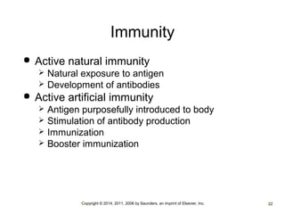 Immunity 
 Active natural immunity 
 Natural exposure to antigen 
 Development of antibodies 
 Active artificial immunity 
 Antigen purposefully introduced to body 
 Stimulation of antibody production 
 Immunization 
 Booster immunization 
•Copyright © 2014, 2011, 2006 by Saunders, an imprint of Elsevier, Inc. •22 
 