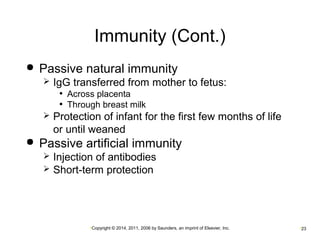 Immunity (Cont.) 
 Passive natural immunity 
 IgG transferred from mother to fetus: 
• Across placenta 
• Through breast milk 
 Protection of infant for the first few months of life 
or until weaned 
 Passive artificial immunity 
 Injection of antibodies 
 Short-term protection 
•Copyright © 2014, 2011, 2006 by Saunders, an imprint of Elsevier, Inc. •23 
 