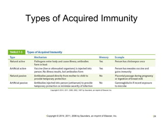 Types of Acquired Immunity 
•Copyright © 2014, 2011, 2006 by Saunders, an imprint of Elsevier, Inc. •24 
 