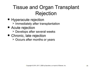 Tissue and Organ Transplant 
Rejection 
 Hyperacute rejection 
 Immediately after transplantation 
 Acute rejection 
 Develops after several weeks 
 Chronic, late rejection 
 Occurs after months or years 
•Copyright © 2014, 2011, 2006 by Saunders, an imprint of Elsevier, Inc. •25 
 