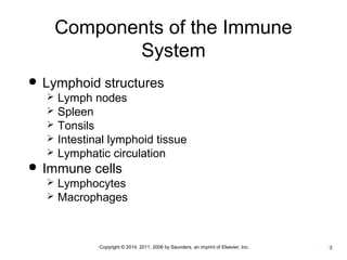 Components of the Immune 
System 
 Lymphoid structures 
 Lymph nodes 
 Spleen 
 Tonsils 
 Intestinal lymphoid tissue 
 Lymphatic circulation 
 Immune cells 
 Lymphocytes 
 Macrophages 
•Copyright © 2014, 2011, 2006 by Saunders, an imprint of Elsevier, Inc. •3 
 