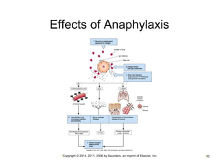 Effects of Anaphylaxis 
•Copyright © 2014, 2011, 2006 by Saunders, an imprint of Elsevier, Inc. •32 
 